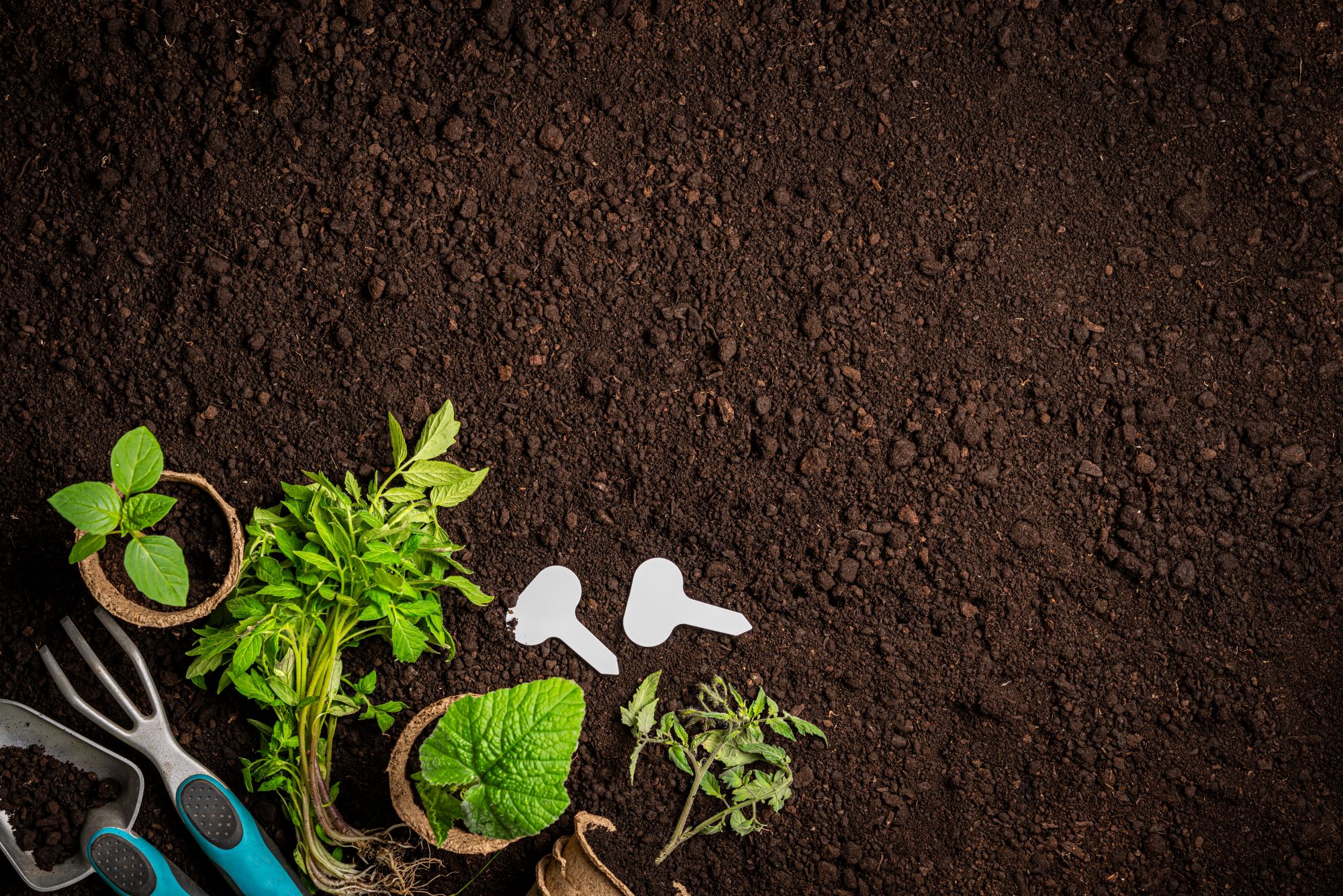 Garden Soil