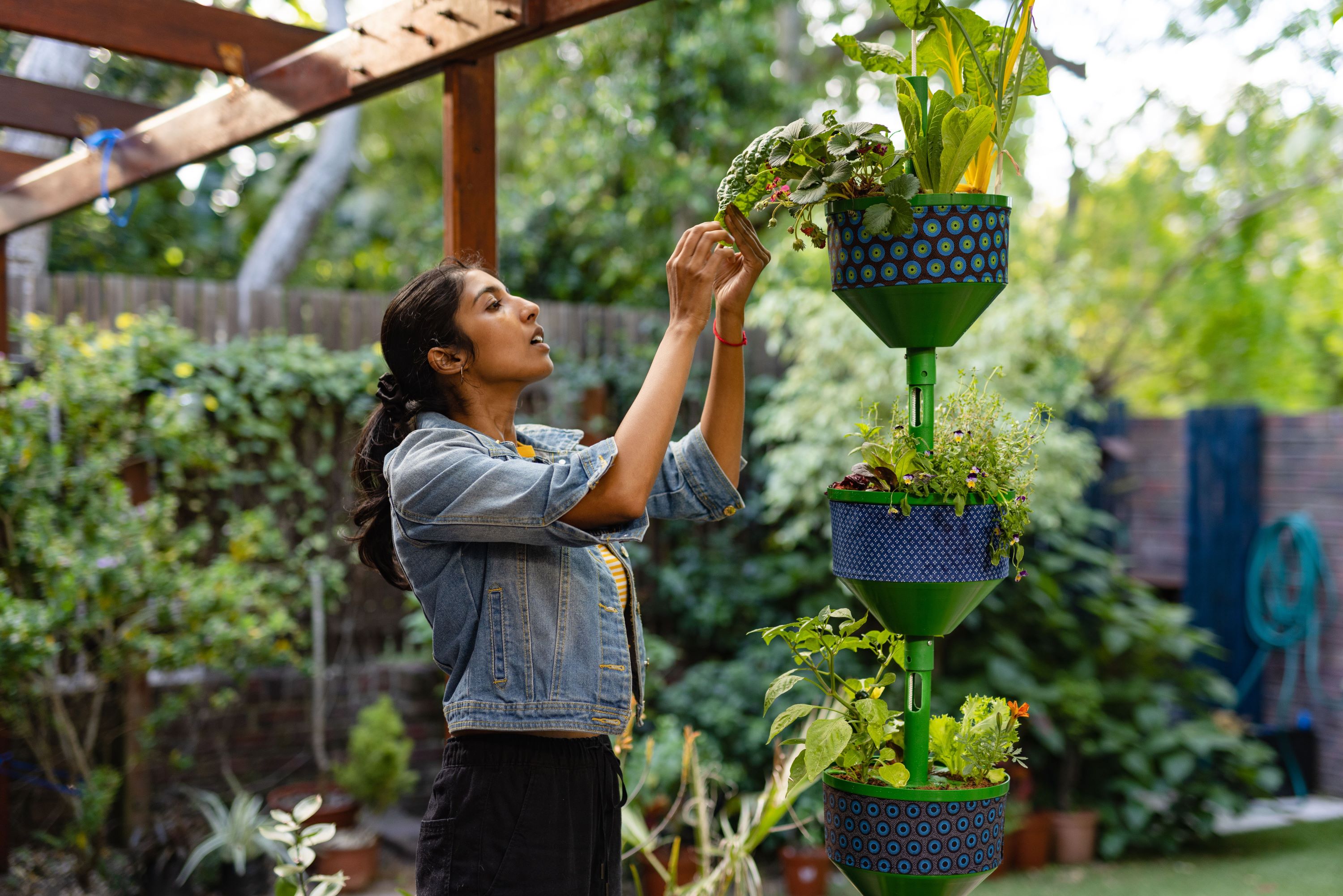 Vertical Gardening