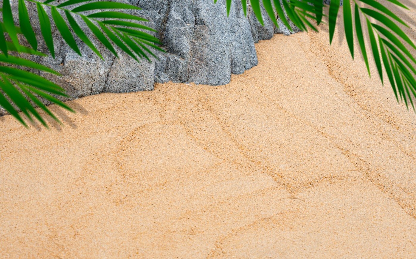 sand in landscaping