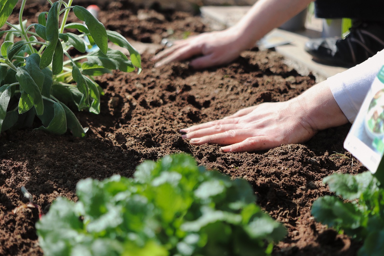 Topsoil