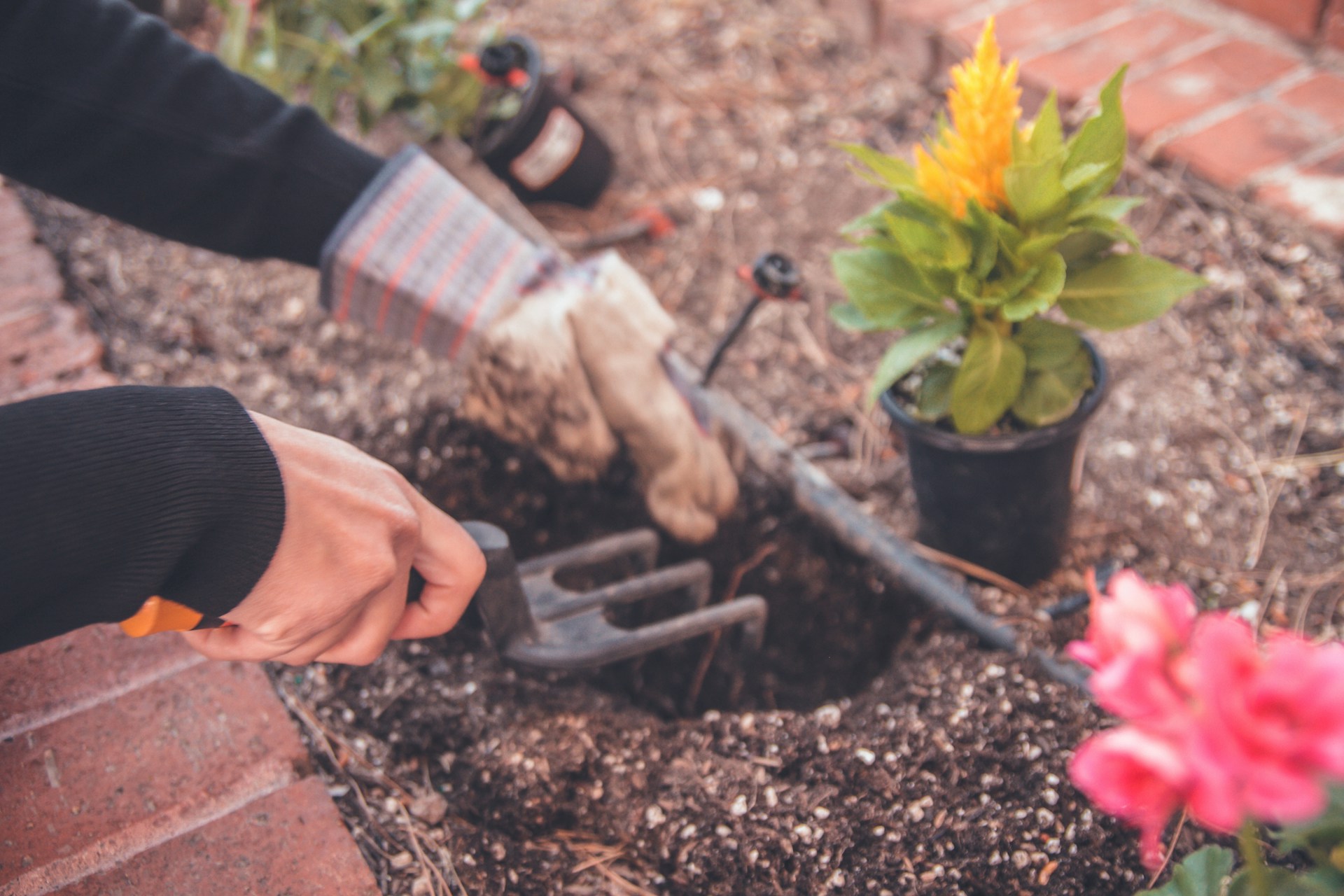 Garden Soil