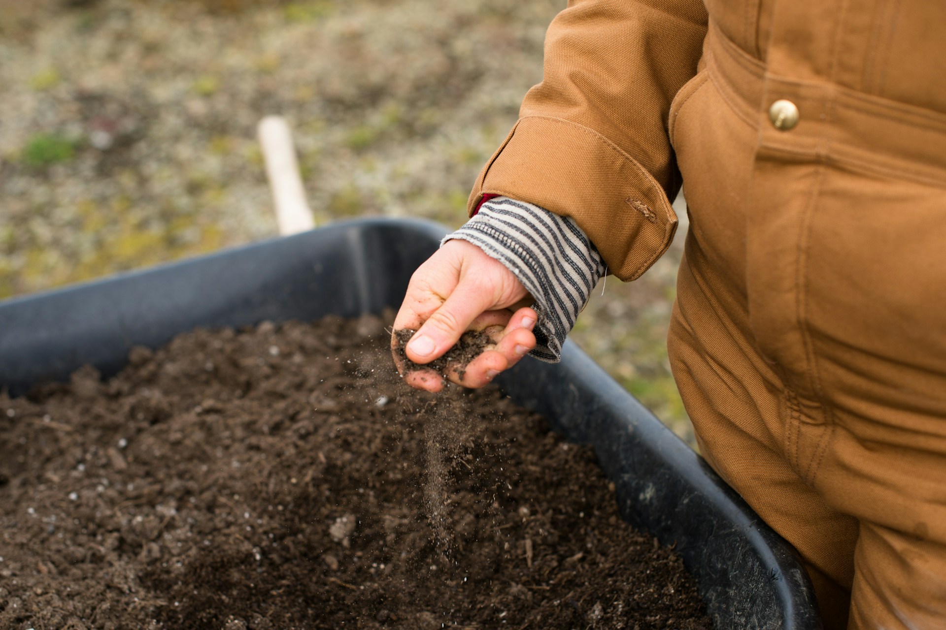 Garden Soil