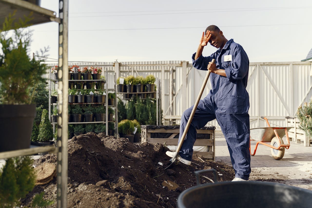 Sand for Landscaping