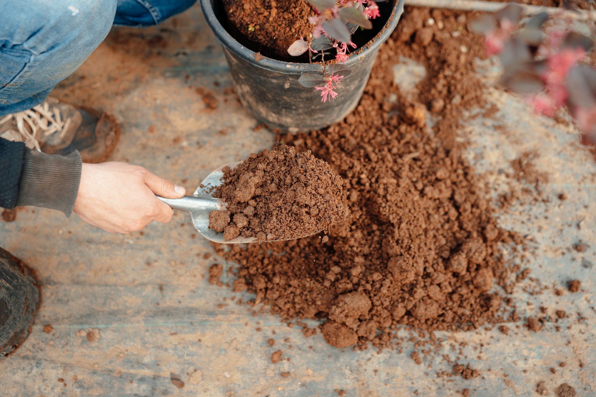 soil conditioner